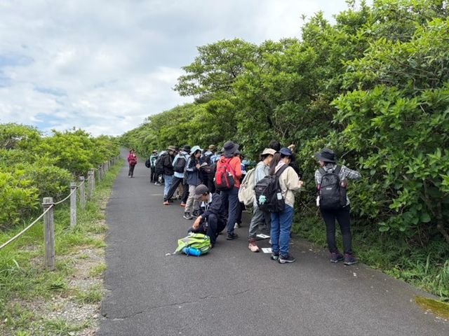 植物を観察する様子